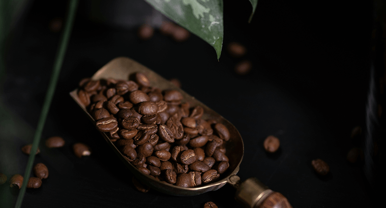 Indian Coffee Beans